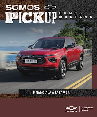 MH-CarPage_Montana_mobile
